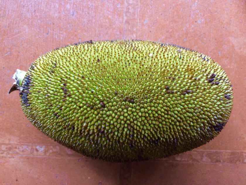 the-mat-movement-yoga-retreats-recipes-jackfruit_8391