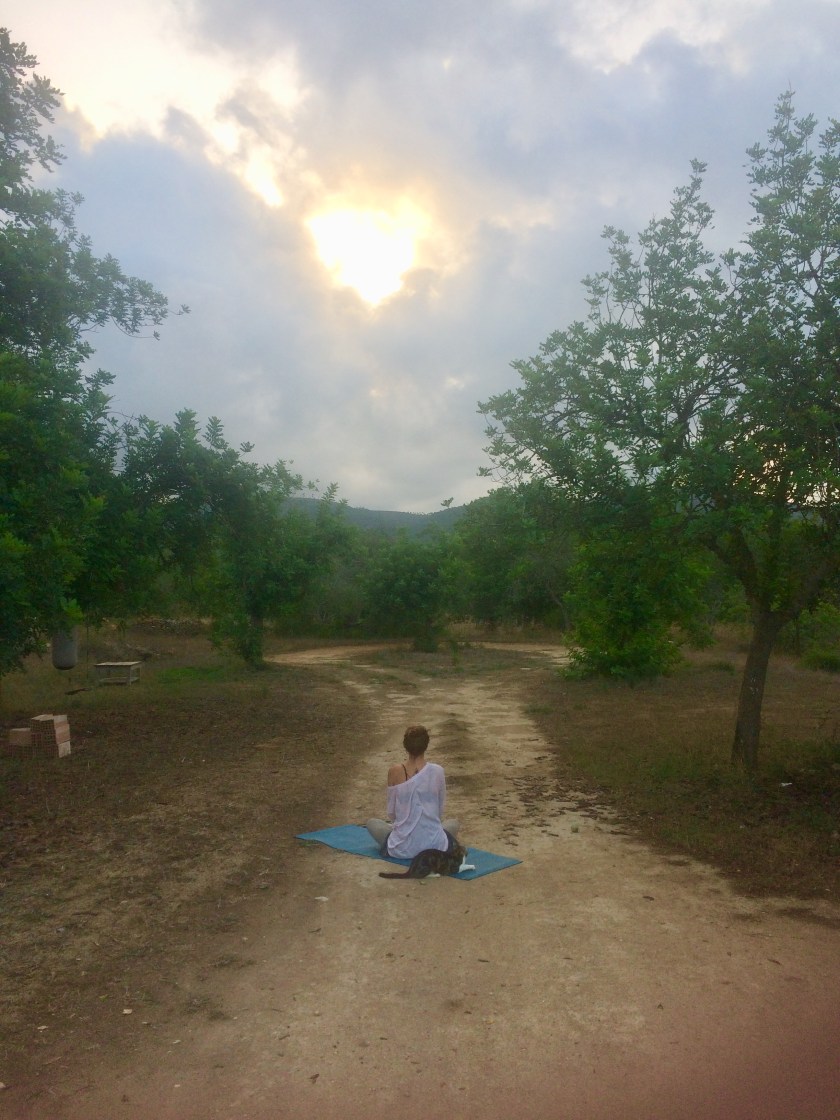 the mat movement yoga retreats